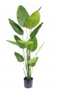 Kunstig Strelitzia Real Touch 180 cm  thumbnail